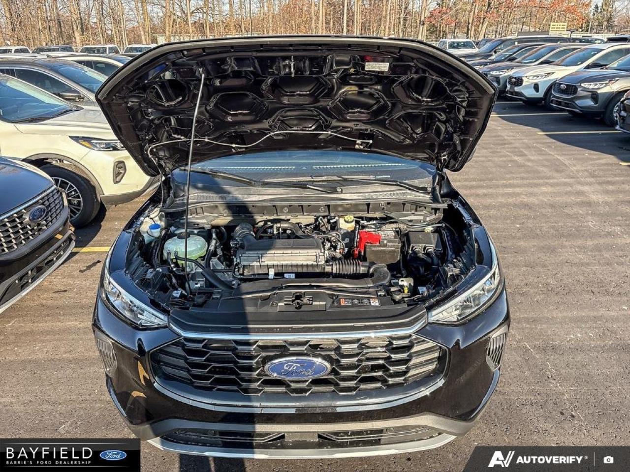 2026 Ford Escape ST-Line Photo