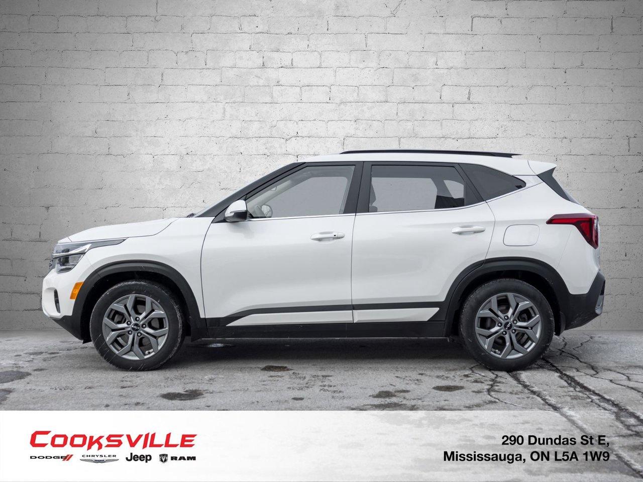 2024 Kia Seltos EX AWD Photo