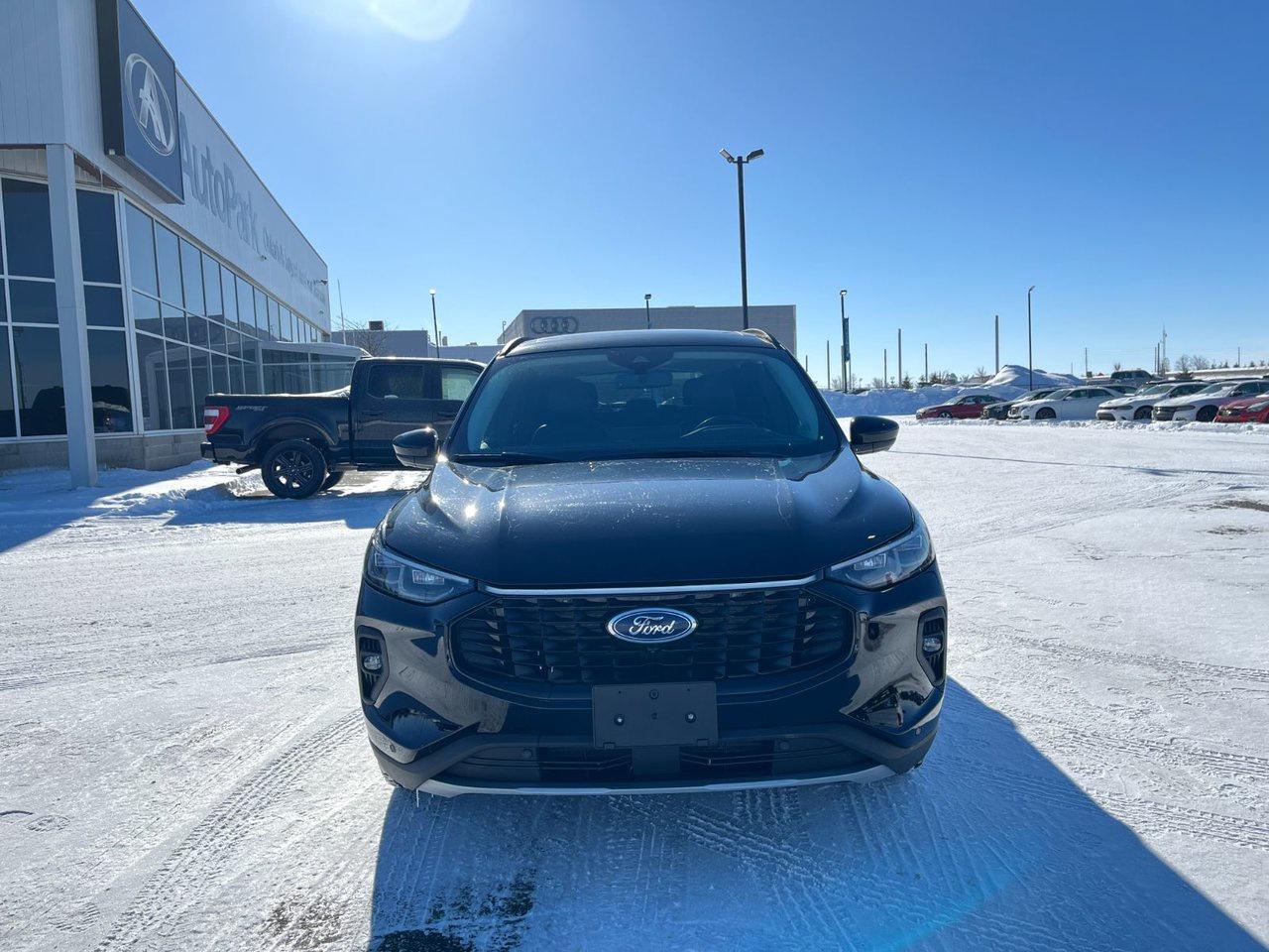 2024 Ford Escape Platinum AWD Photo