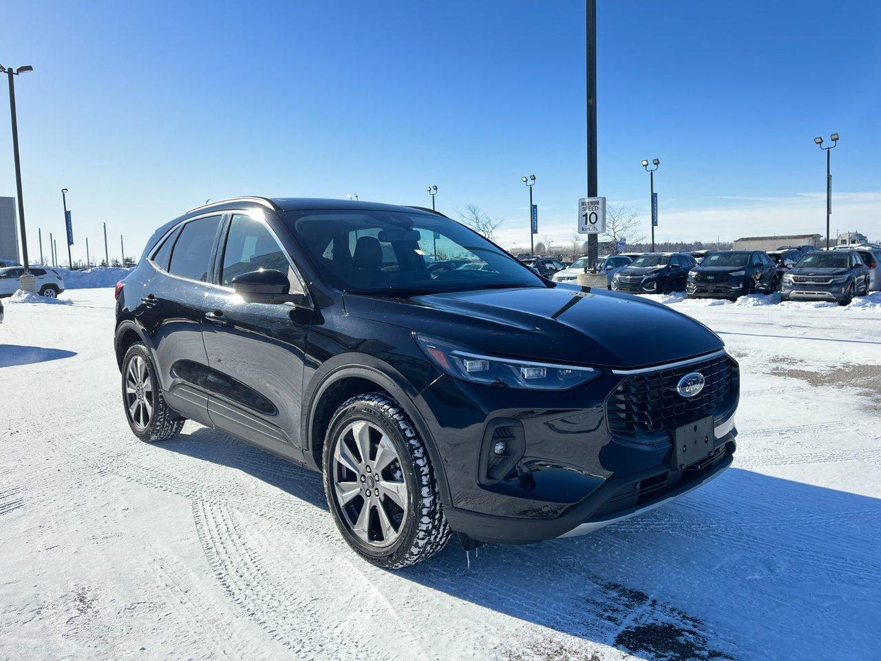 2024 Ford Escape Platinum AWD Photo