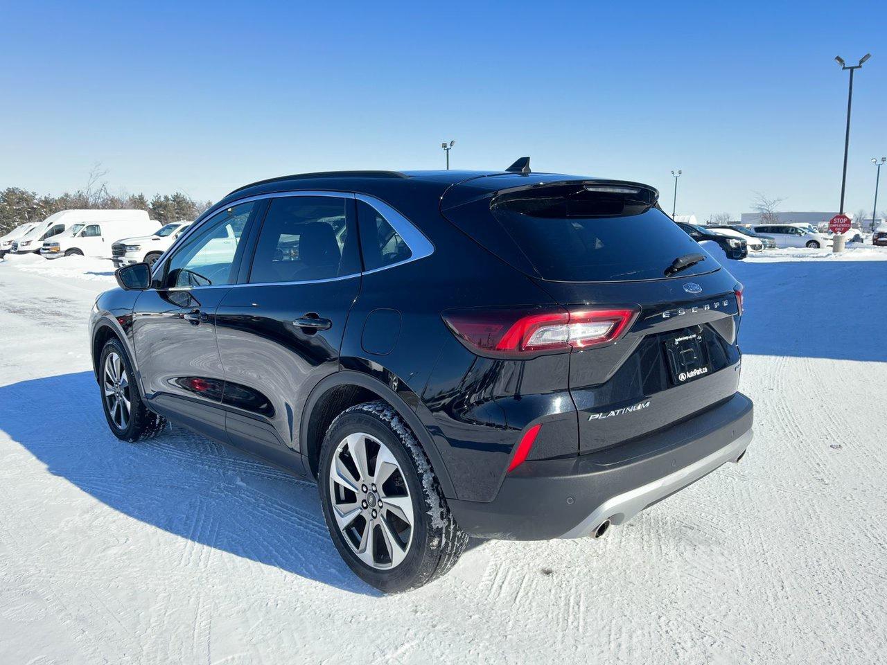 2024 Ford Escape Platinum AWD Photo