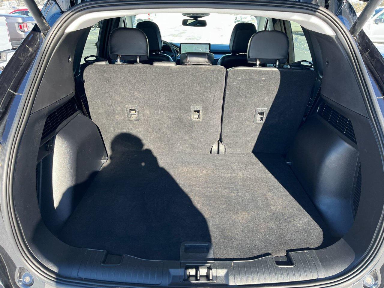 2024 Ford Escape Platinum AWD Photo