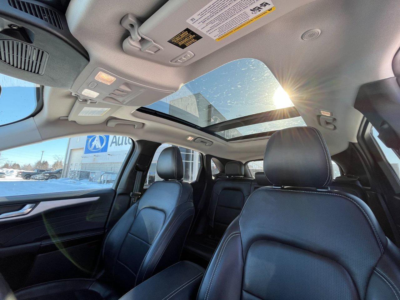 2024 Ford Escape Platinum AWD Photo