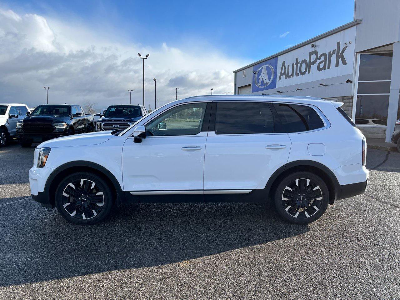 2024 Kia Telluride SX AWD Photo