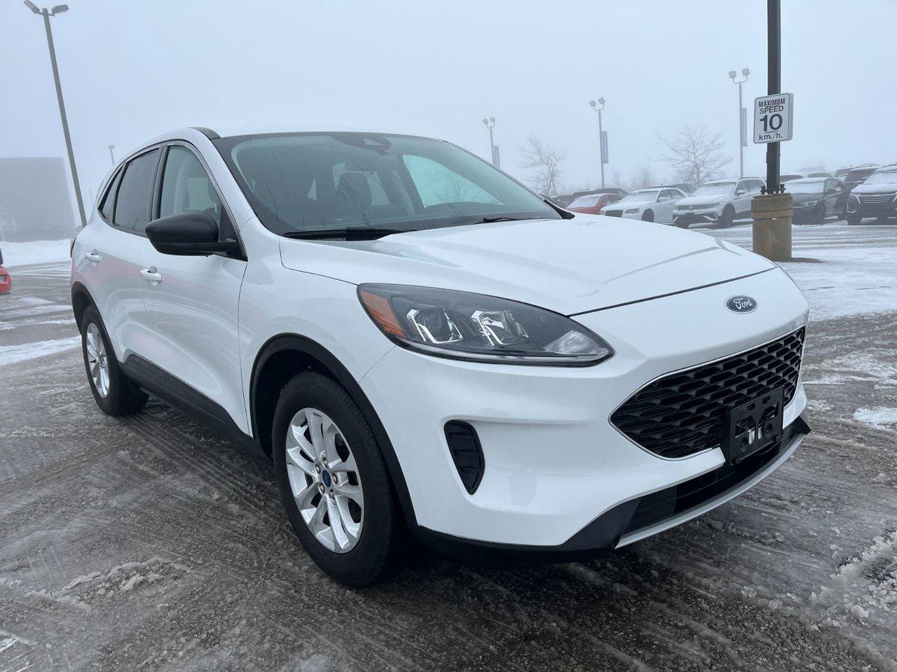 2022 Ford Escape SE Photo3