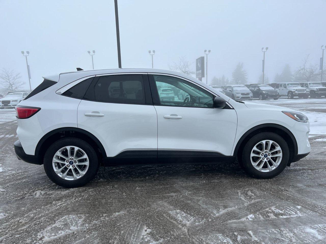 2022 Ford Escape SE Photo