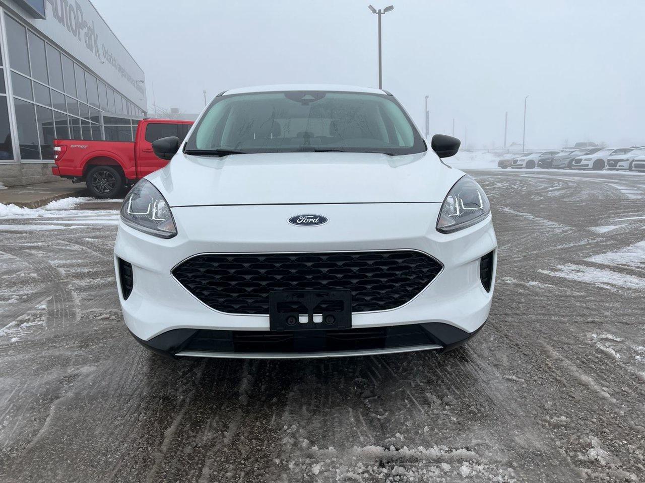 2022 Ford Escape SE Photo