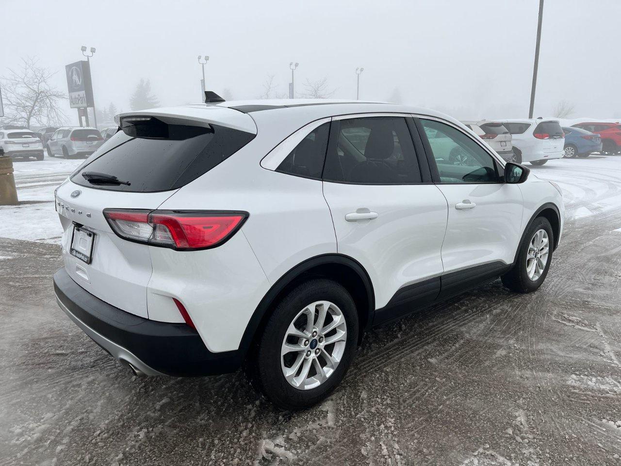 2022 Ford Escape SE Photo