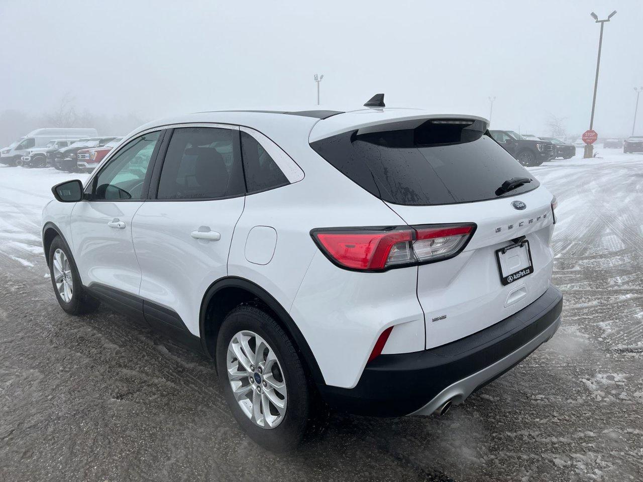 2022 Ford Escape SE Photo