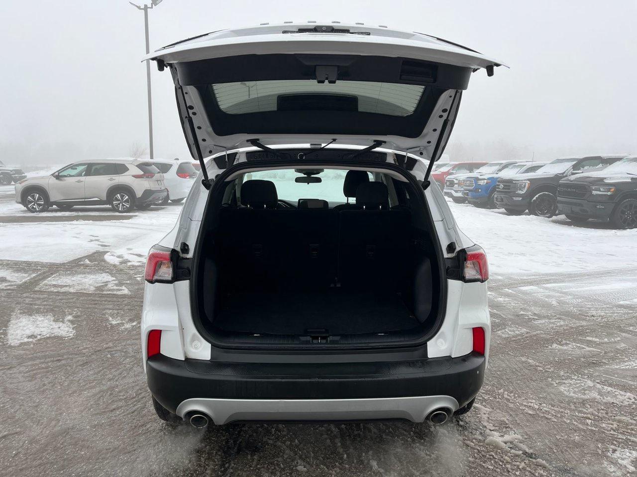 2022 Ford Escape SE Photo