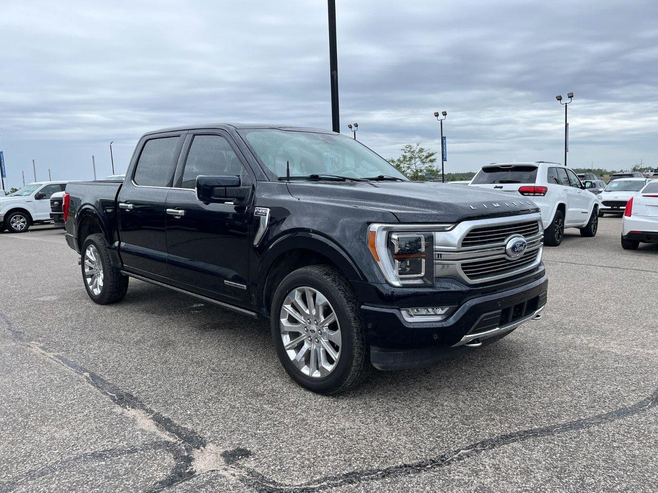 2022 Ford F-150 Limited 4WD SuperCrew 5.5' Box Photo