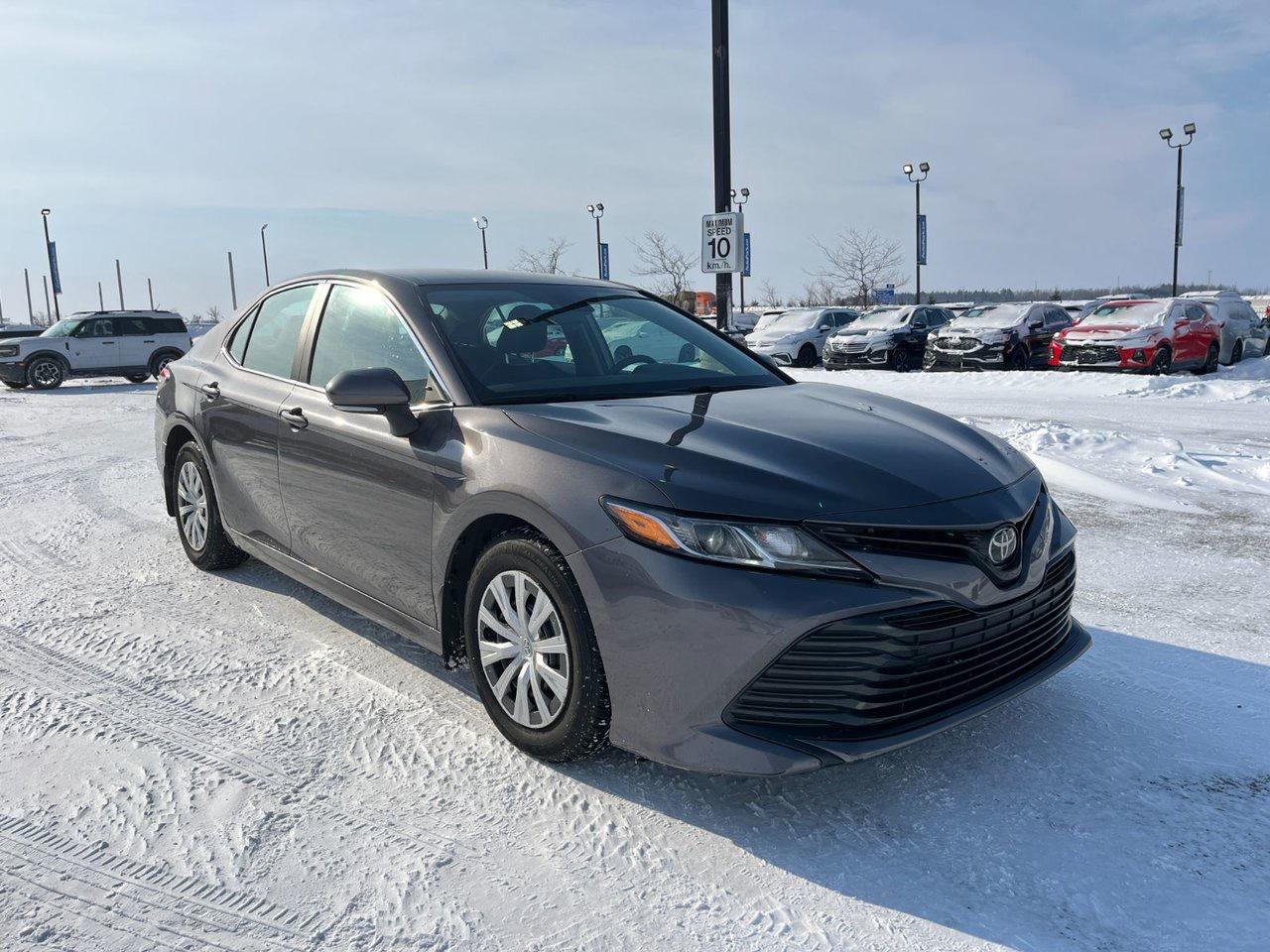 2019 Toyota Camry LE Auto Photo
