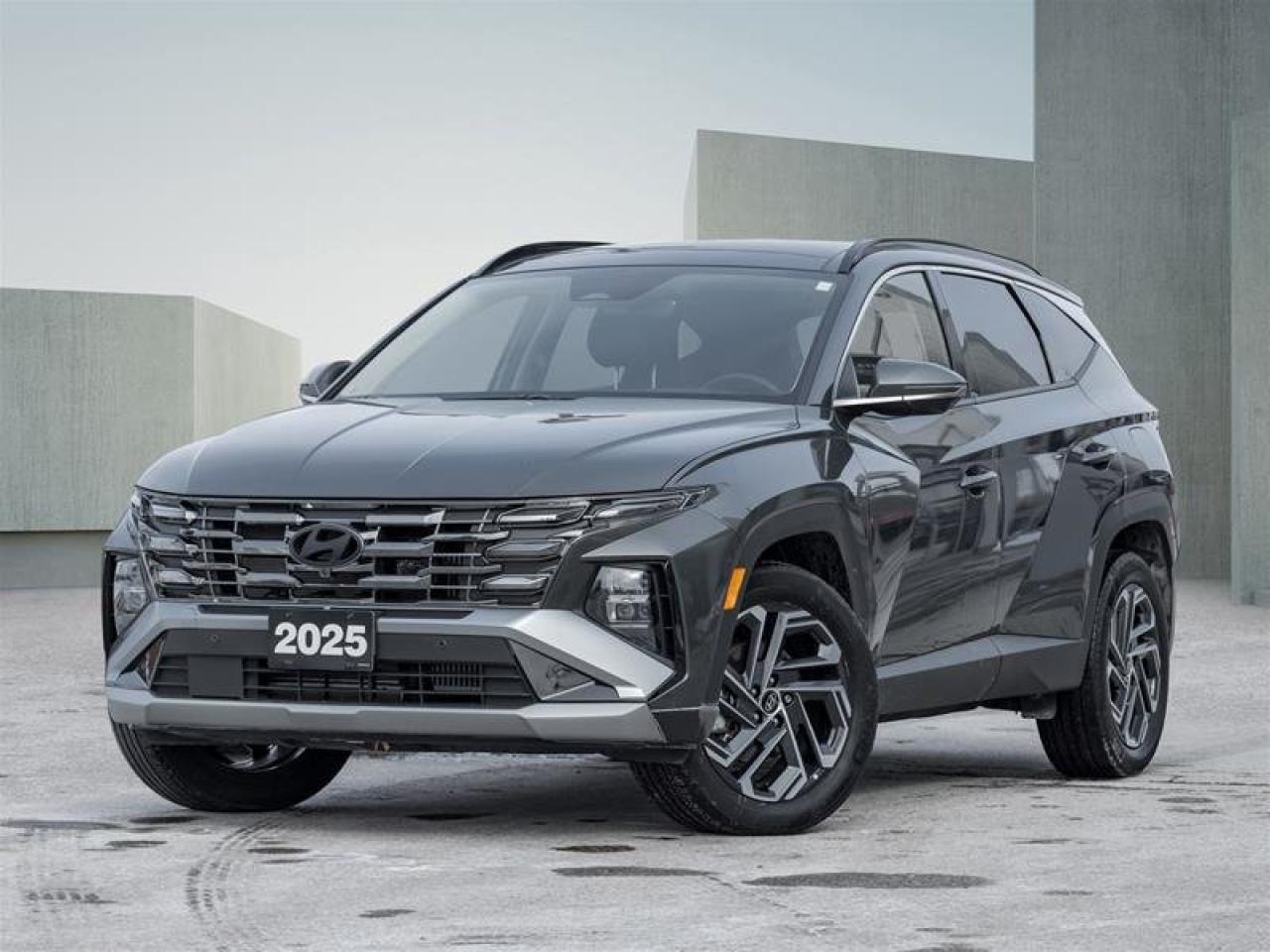 2025 Hyundai Tucson Hybrid Ultimate Photo