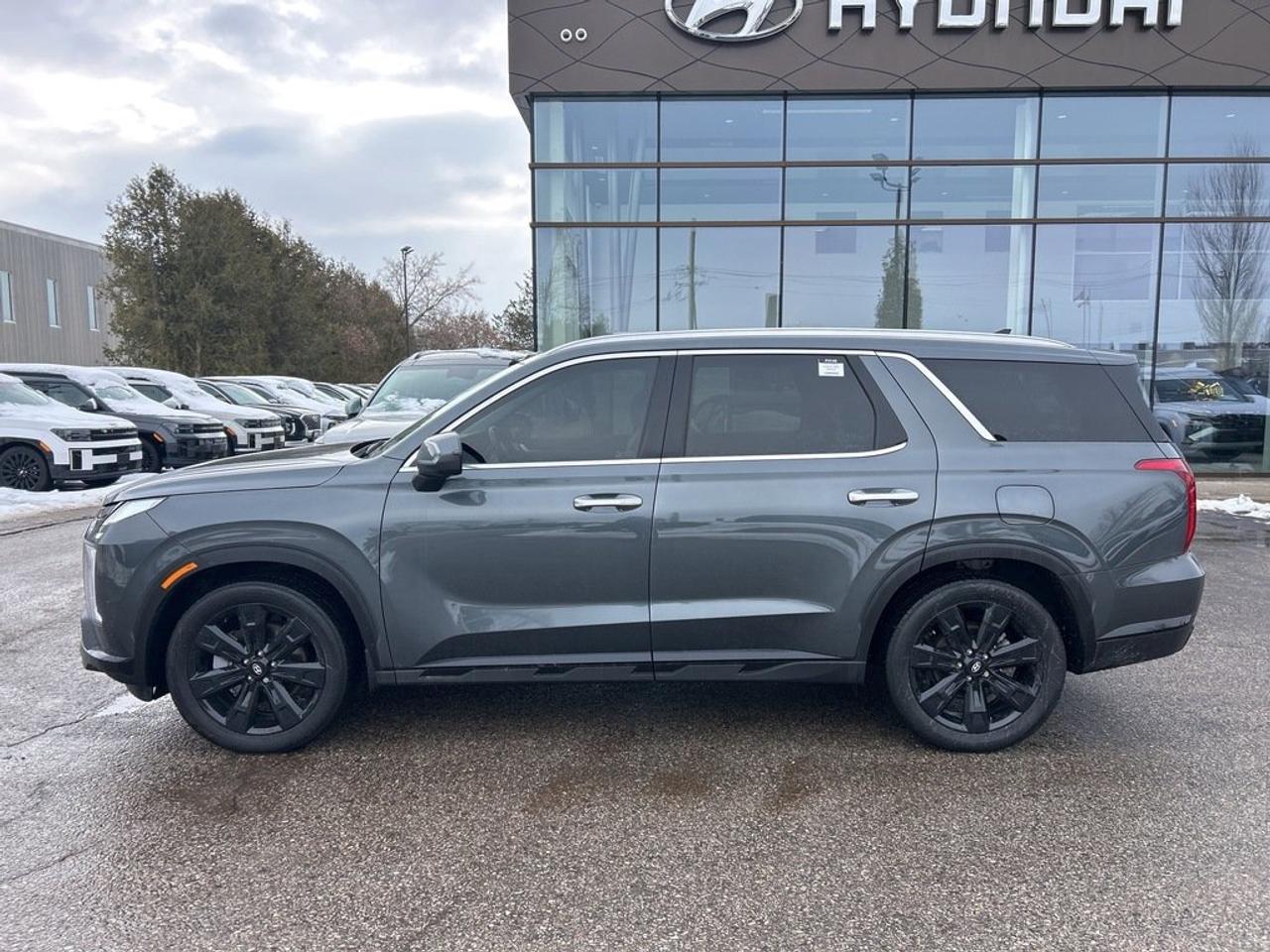 2023 Hyundai PALISADE AWD Urban 8P Photo