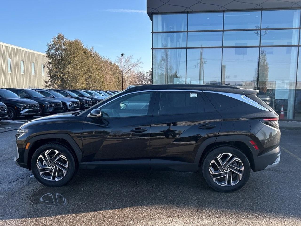 2025 Hyundai Tucson Hybrid Ultimate Photo