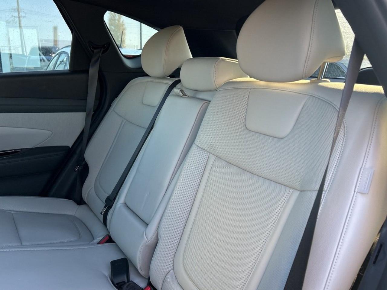 2025 Hyundai Tucson Hybrid Ultimate Photo