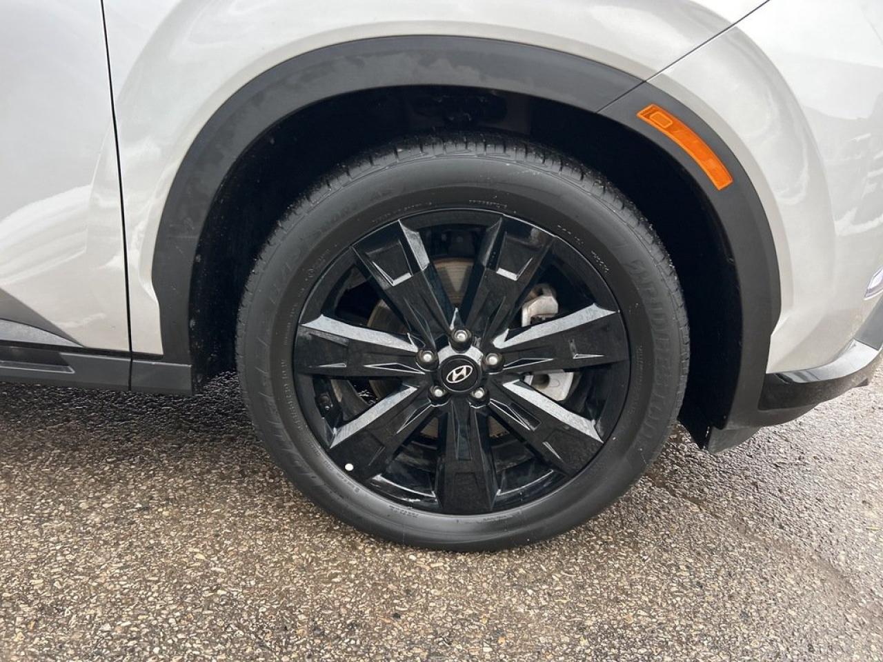 2025 Hyundai PALISADE URBAN Photo4