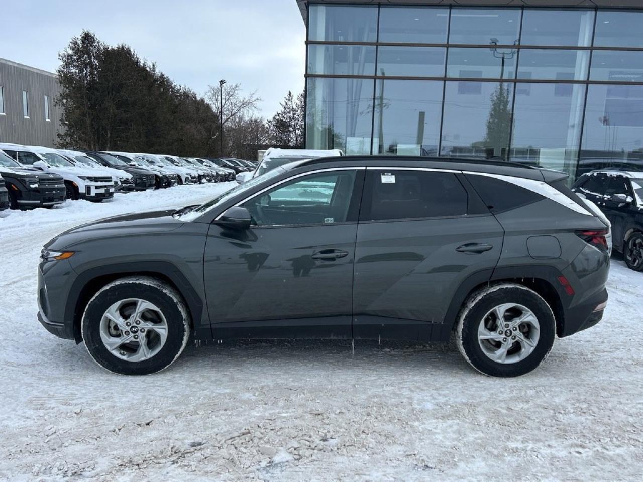 2022 Hyundai Tucson Preferred Photo