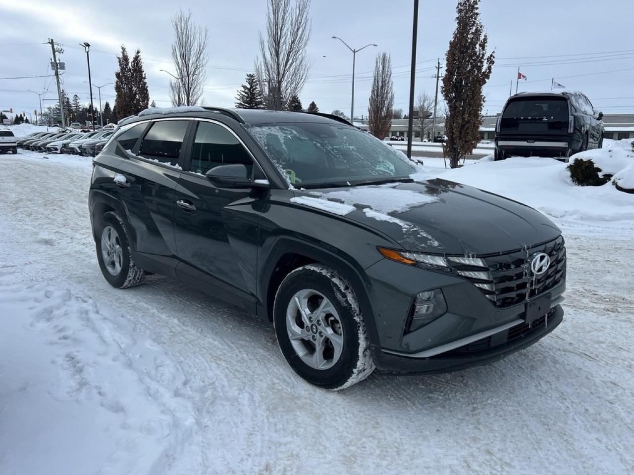 2022 Hyundai Tucson Preferred Photo