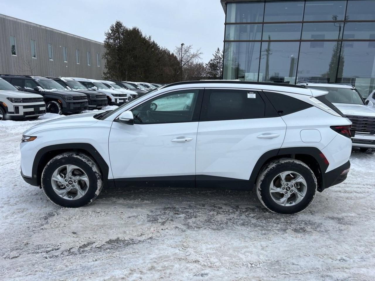 2024 Hyundai Tucson Preferred Photo