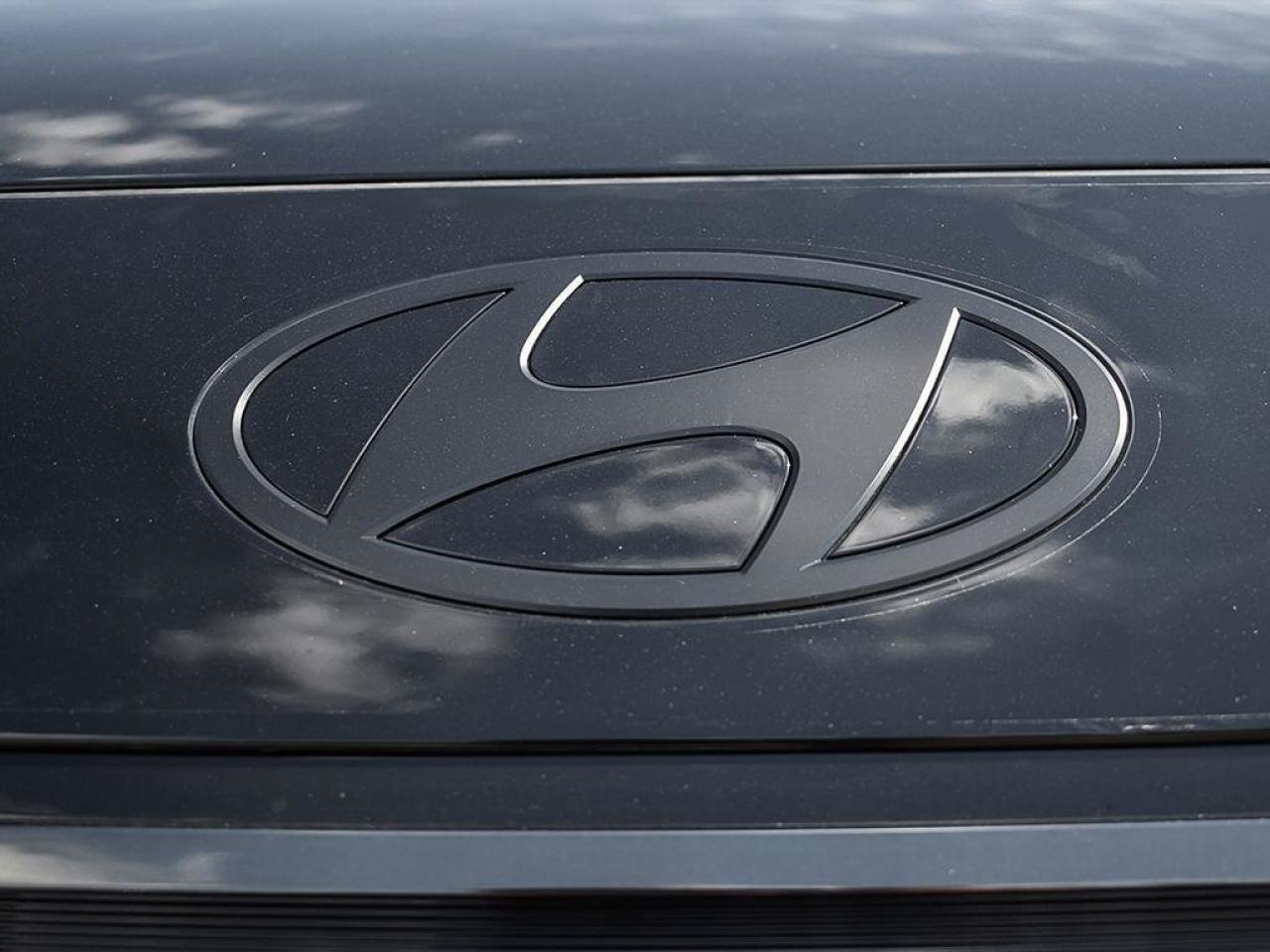 2026 Hyundai PALISADE XRT PRO Photo