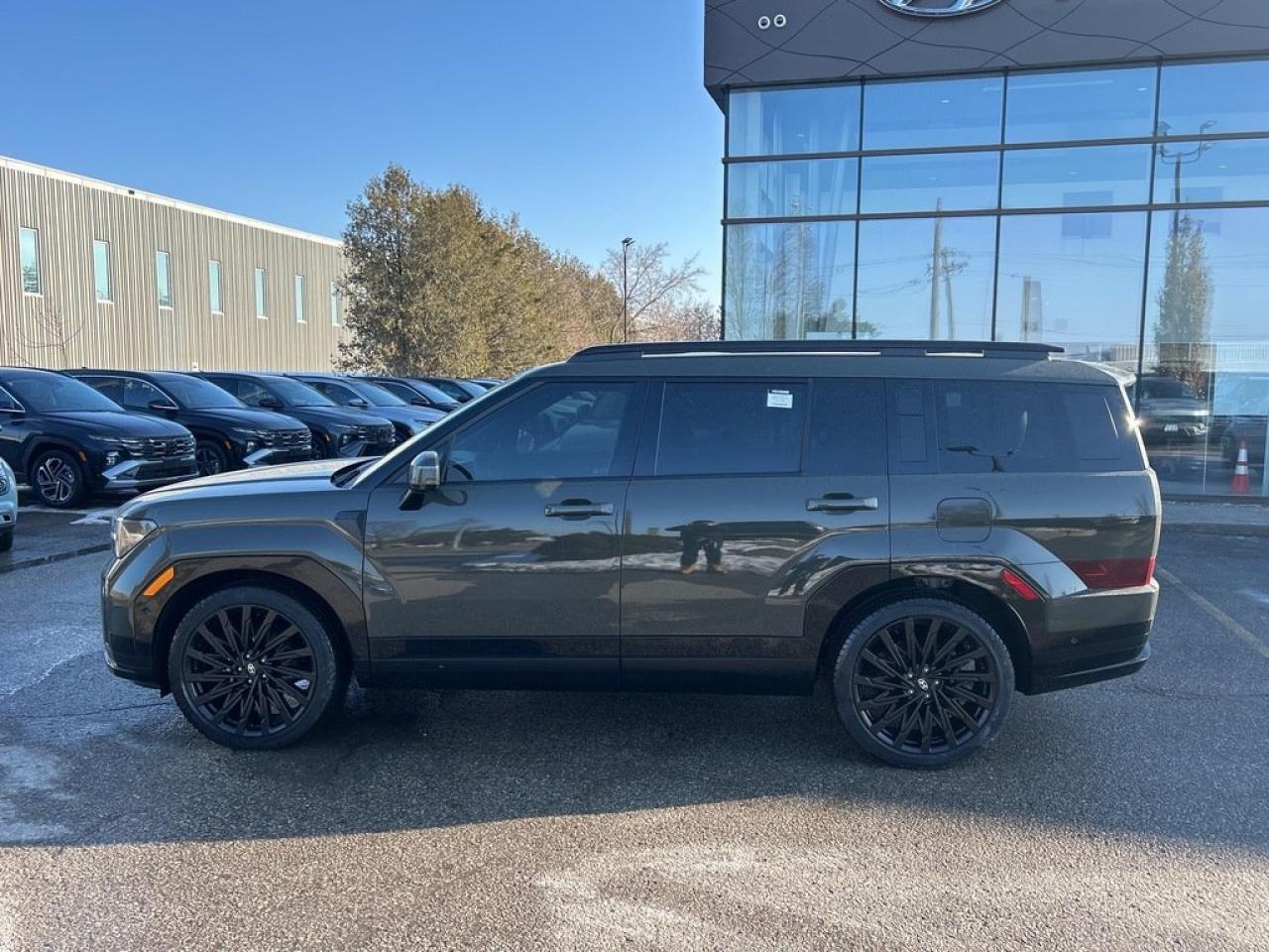 2025 Hyundai Santa Fe Ultimate Calligraphy Photo