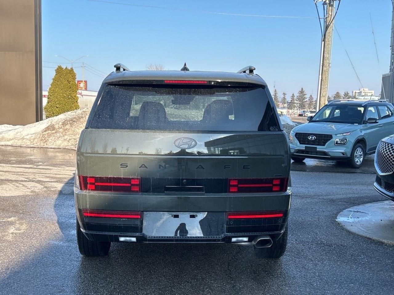 2025 Hyundai Santa Fe Ultimate Calligraphy Photo3