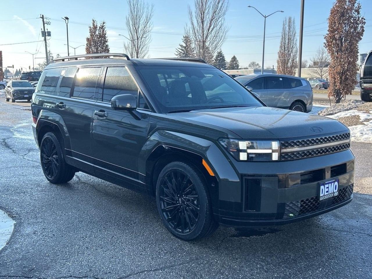 2025 Hyundai Santa Fe Ultimate Calligraphy Photo