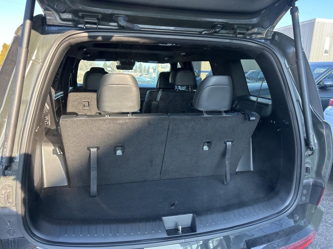 2025 Hyundai Santa Fe Ultimate Calligraphy Photo