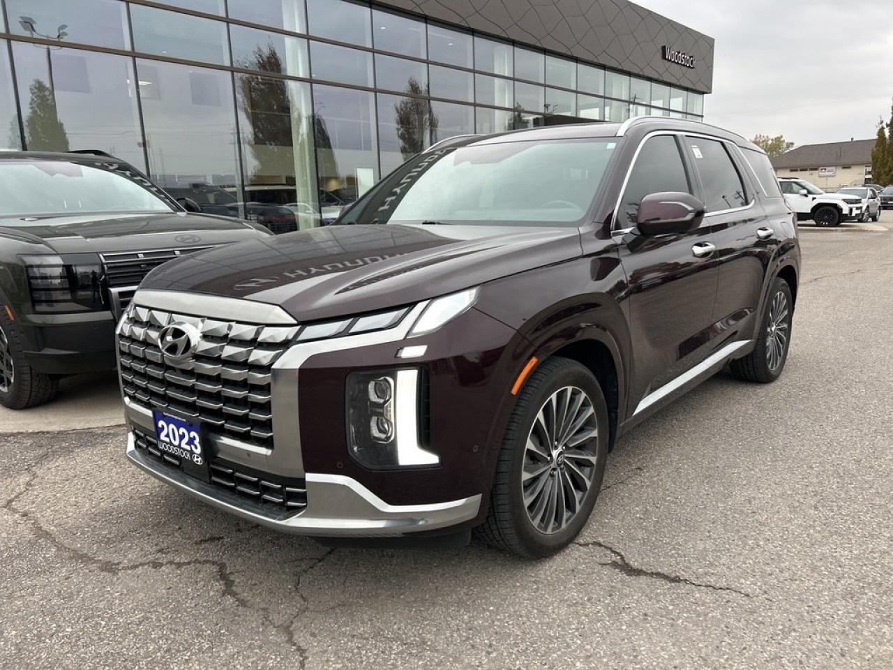 2023 Hyundai PALISADE Ultimate Calligraphy Photo