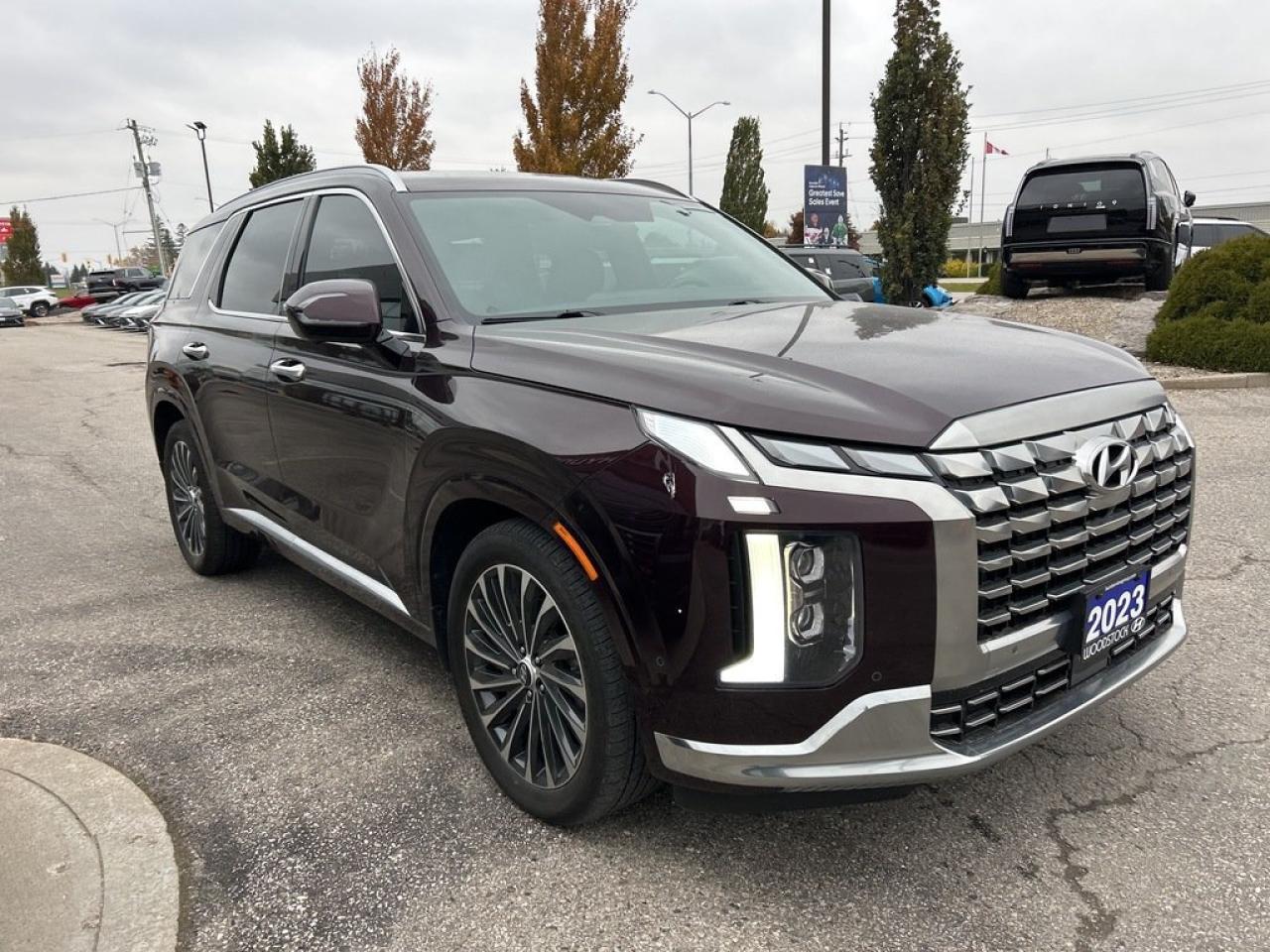 2023 Hyundai PALISADE Ultimate Calligraphy Photo