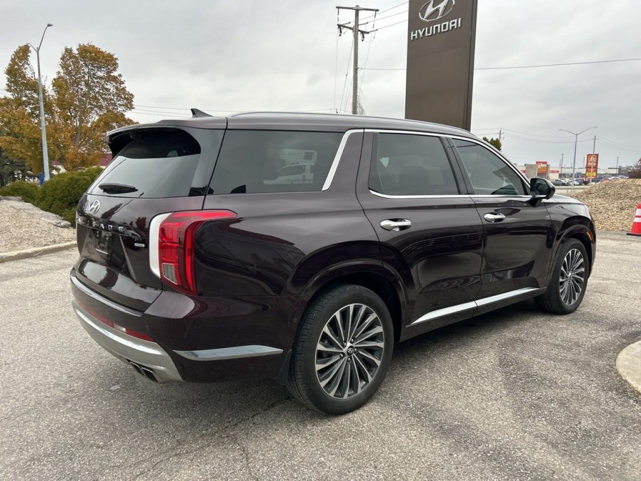 2023 Hyundai PALISADE Ultimate Calligraphy Photo4