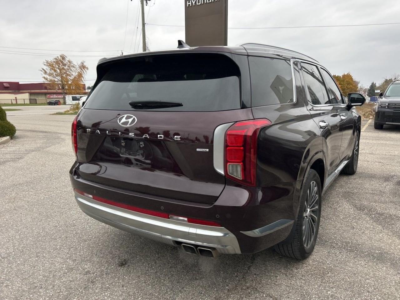 2023 Hyundai PALISADE Ultimate Calligraphy Photo