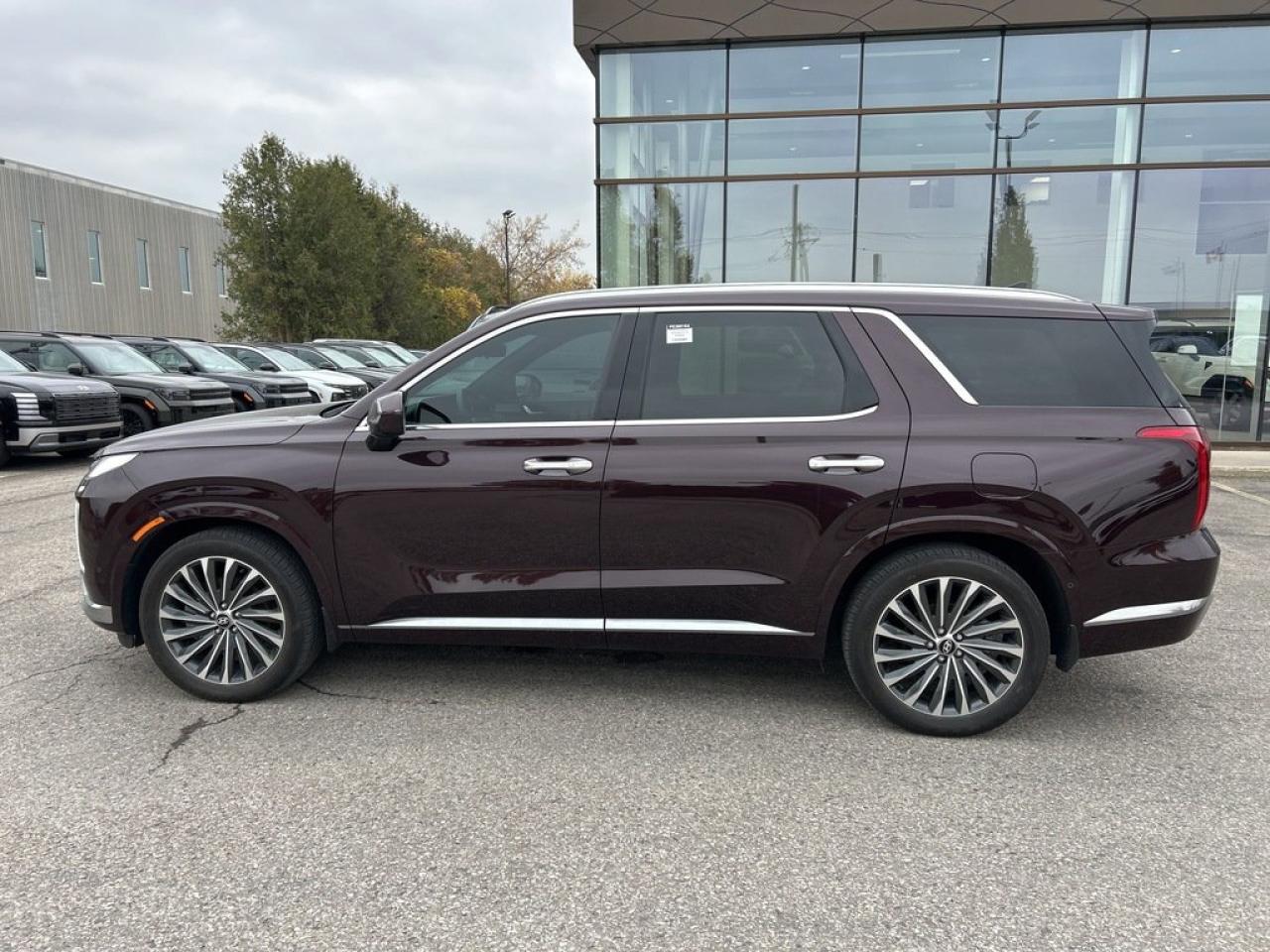 2023 Hyundai PALISADE Ultimate Calligraphy Photo