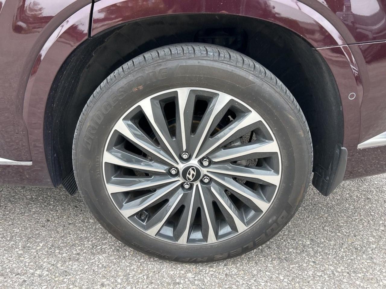 2023 Hyundai PALISADE Ultimate Calligraphy Photo