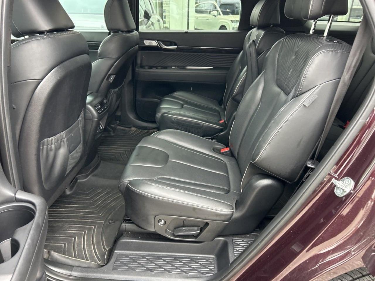 2023 Hyundai PALISADE Ultimate Calligraphy Photo