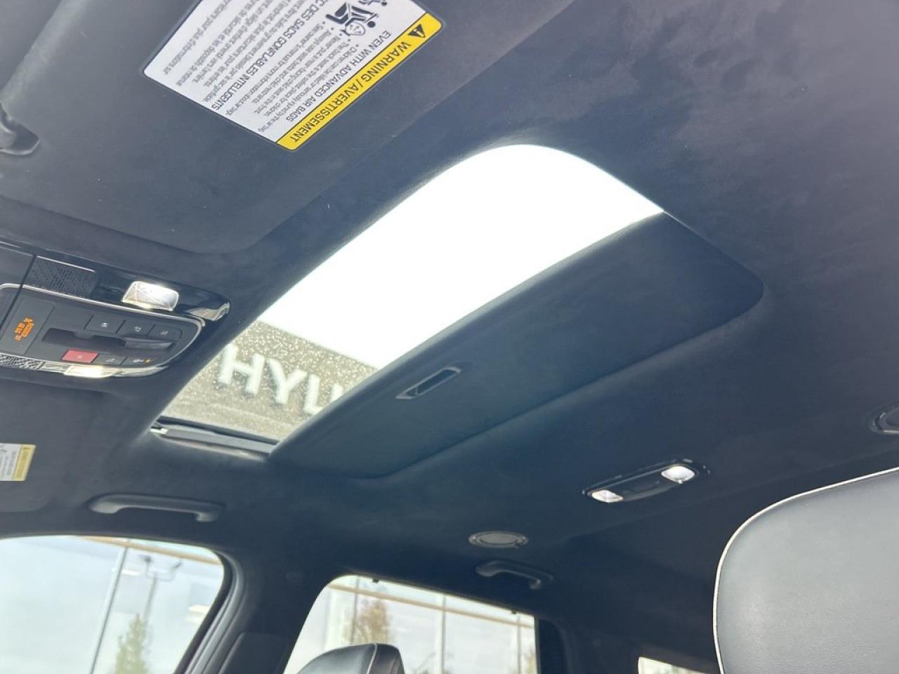 2023 Hyundai PALISADE Ultimate Calligraphy Photo