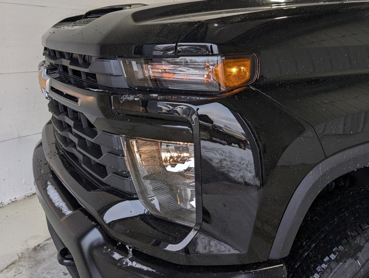 2025 Chevrolet SILVERADO 2500HD Work Truck Photo