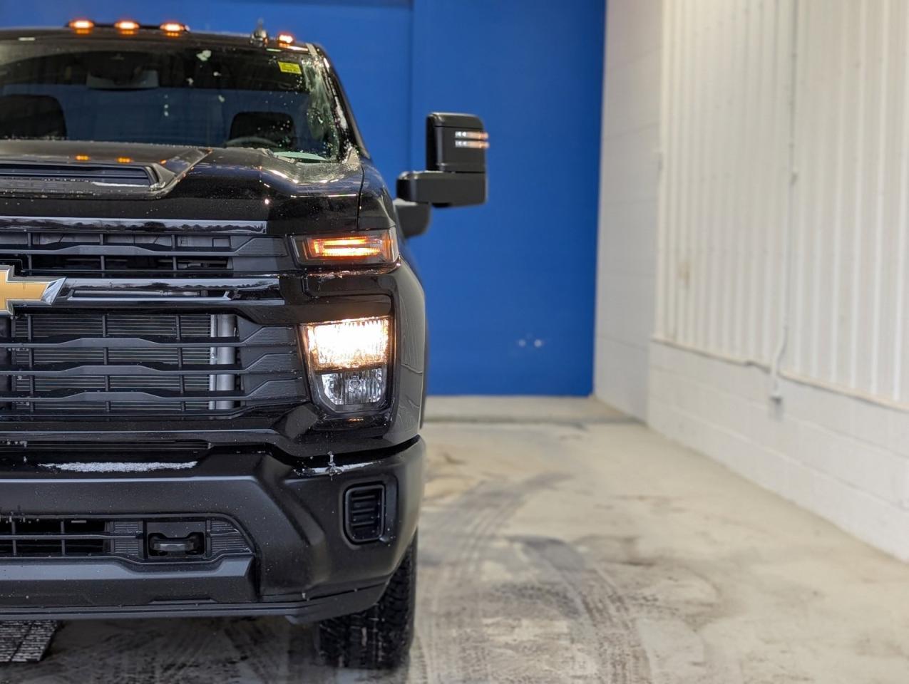 2025 Chevrolet SILVERADO 2500HD Work Truck Photo