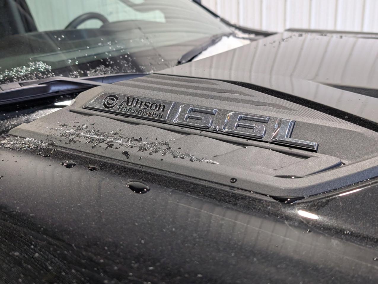 2025 Chevrolet SILVERADO 2500HD Work Truck Photo