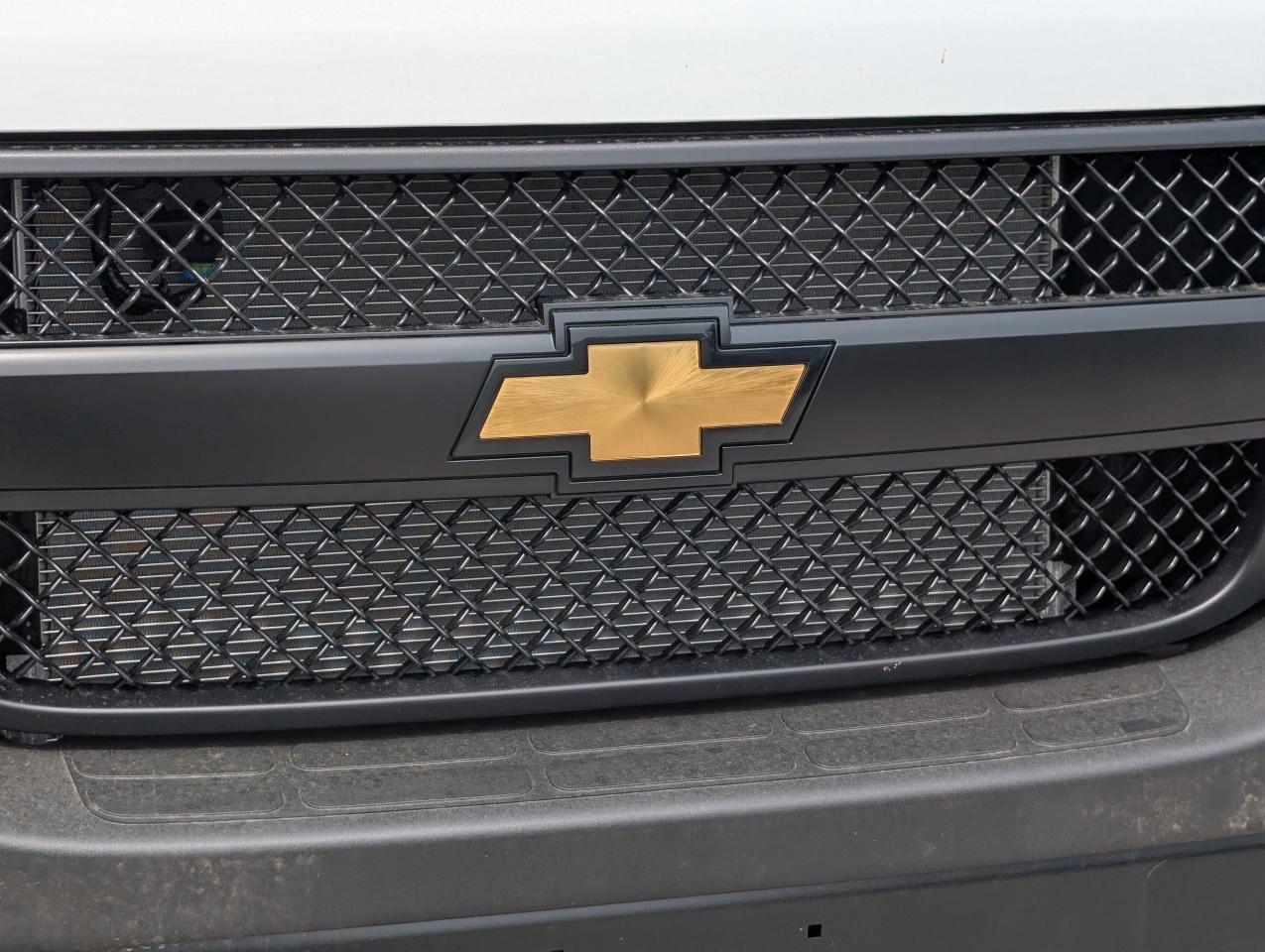 2025 Chevrolet Express Cargo Van  Photo