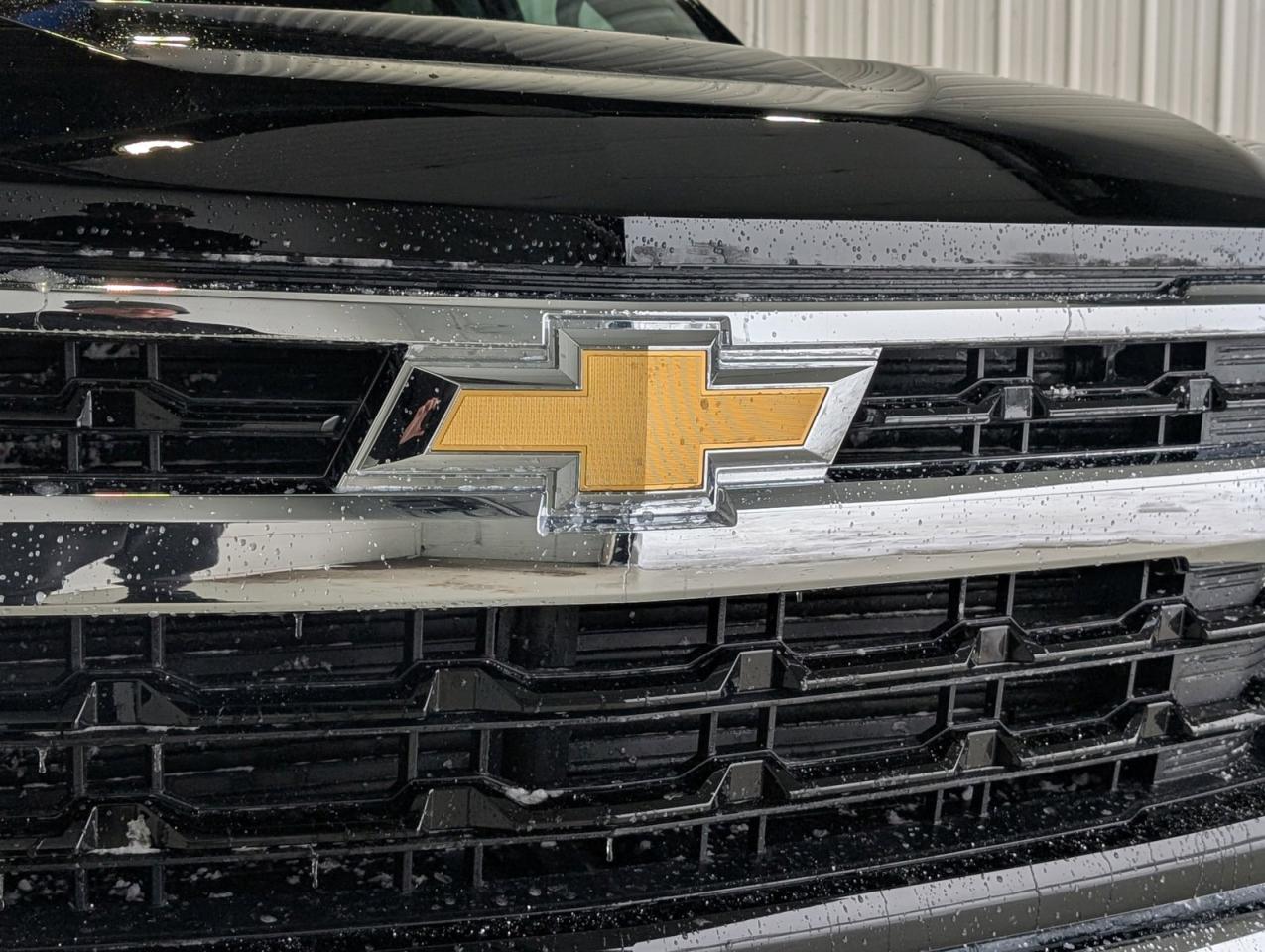2025 Chevrolet Silverado 1500 LT Photo