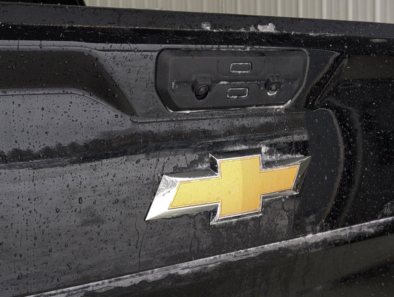 2025 Chevrolet Silverado 1500 LT Photo