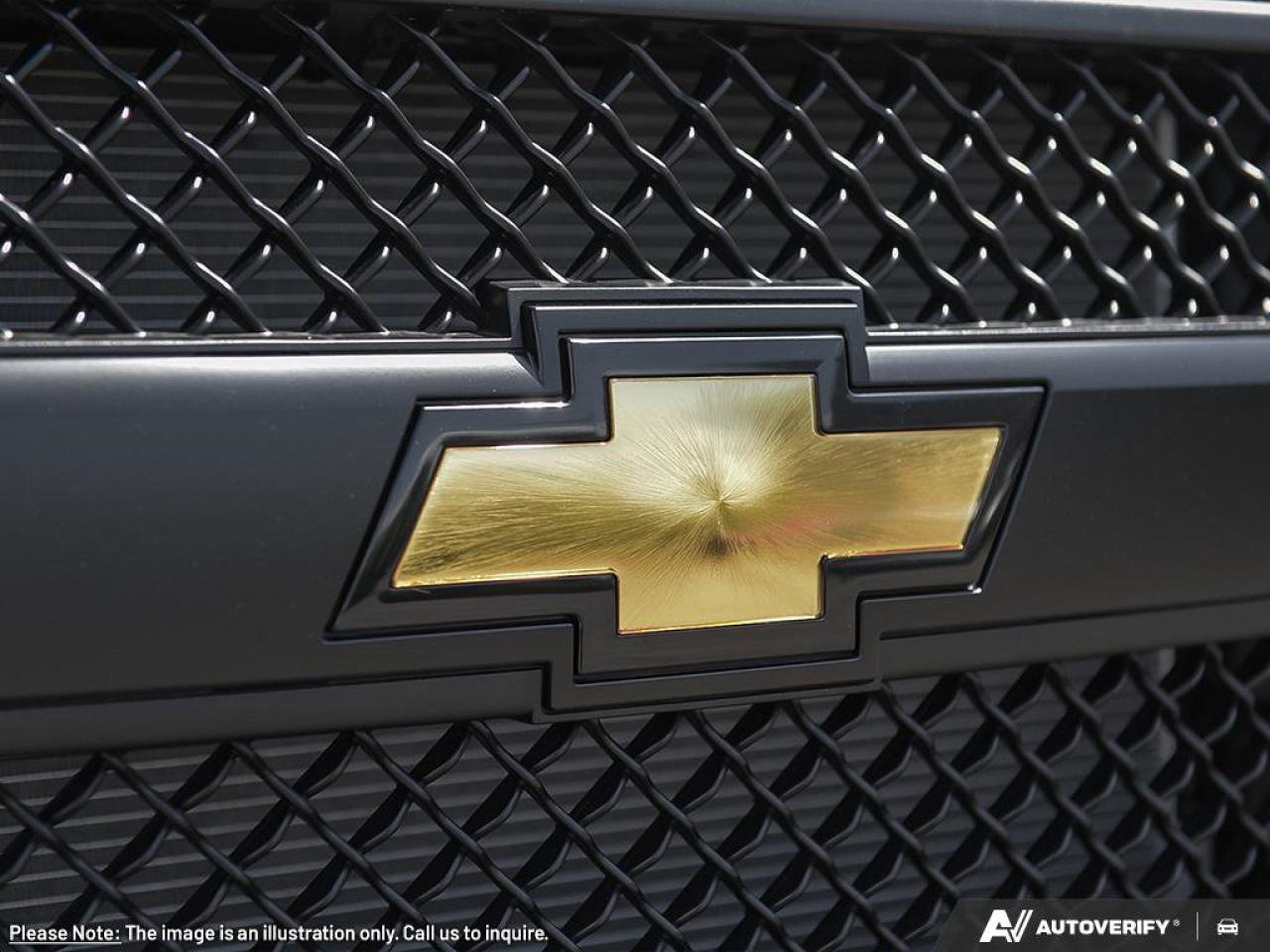 2025 Chevrolet Express Cargo Van  Photo