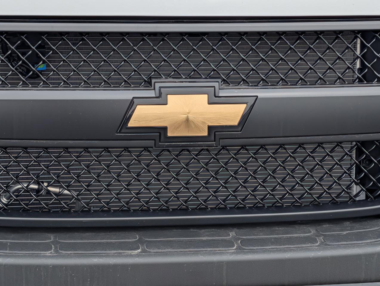 2025 Chevrolet Express Cargo Van  Photo