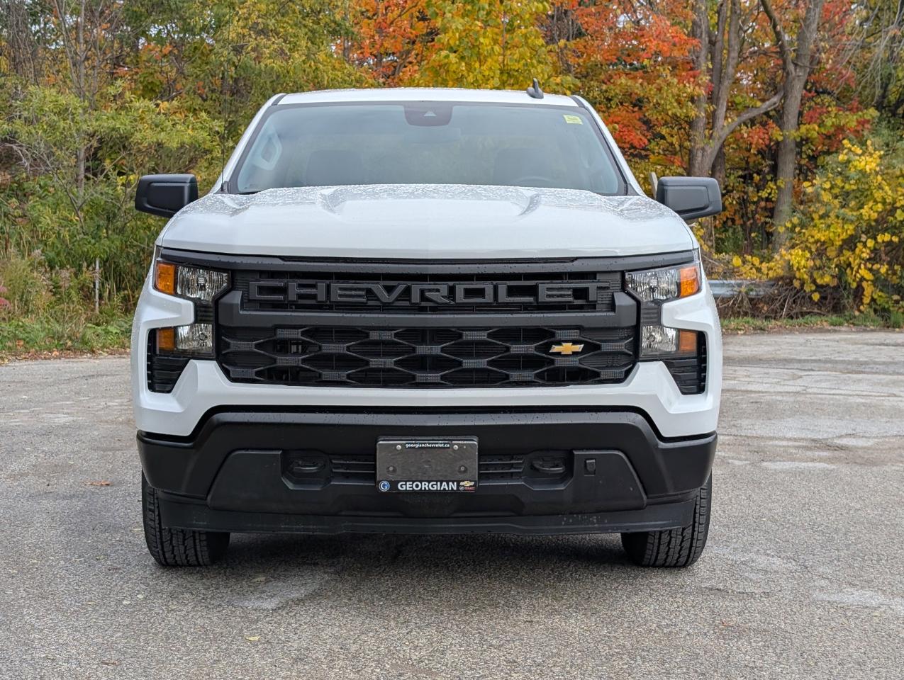 2026 Chevrolet Silverado 1500 Work Truck Photo4
