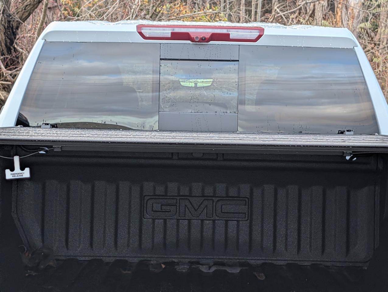 2026 GMC Sierra 1500 Denali Photo