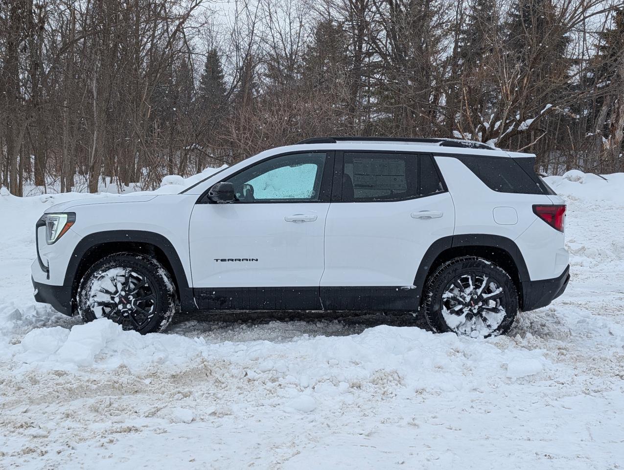 2026 GMC Terrain AWD Elevation Photo