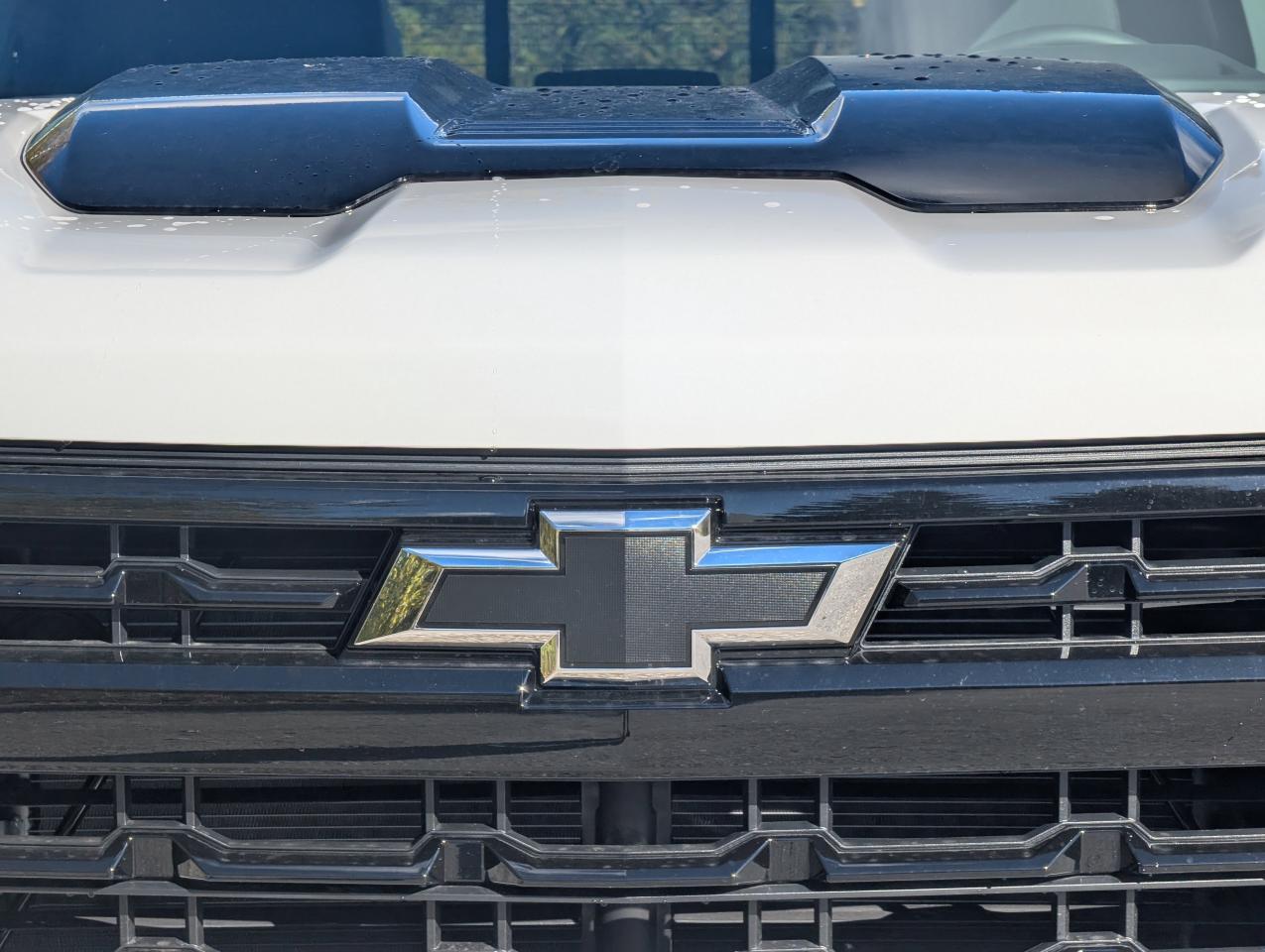 2026 Chevrolet Silverado 1500 LT Trail Boss Photo