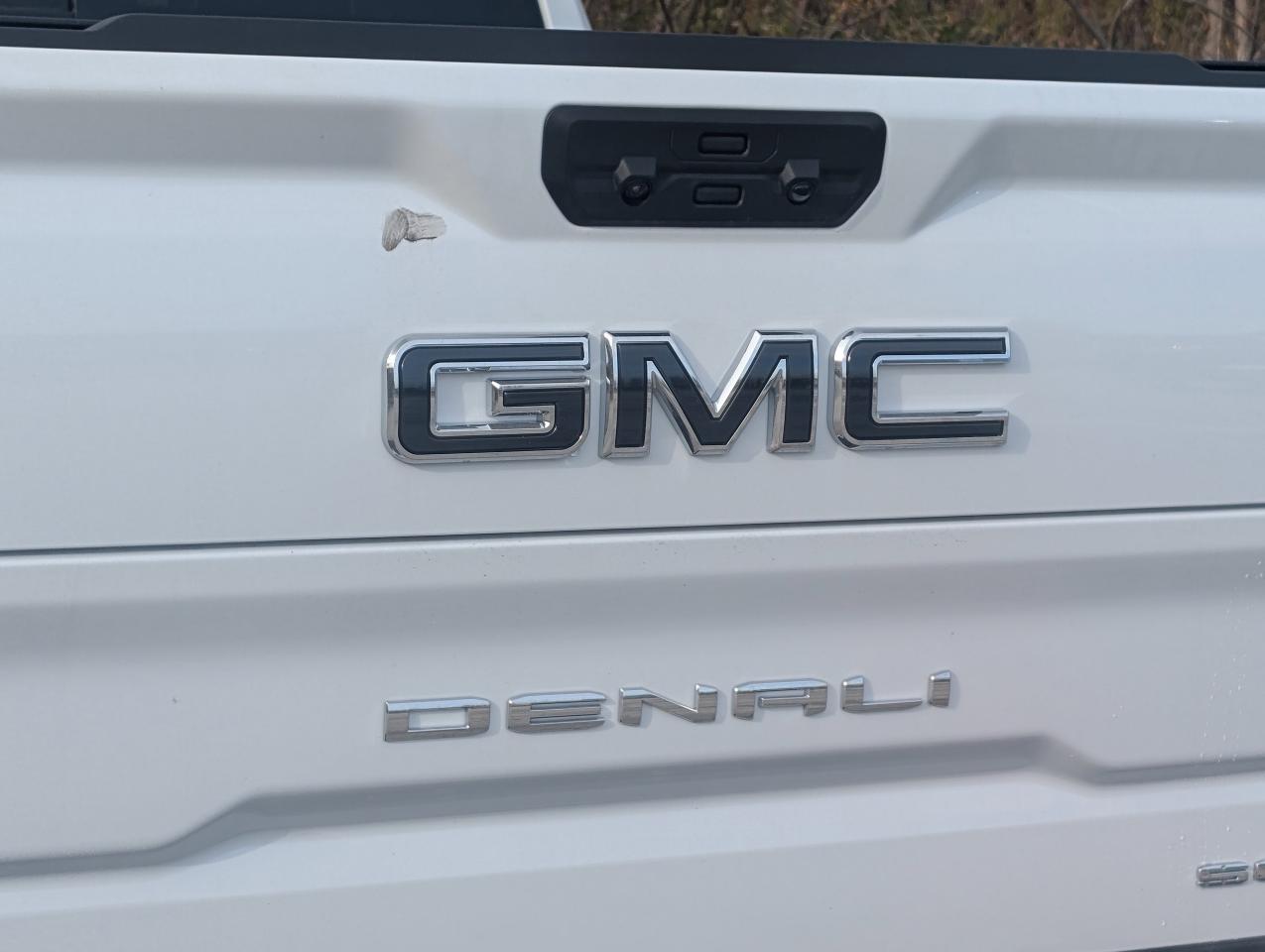 2026 GMC Sierra 1500 Denali Ultimate Photo